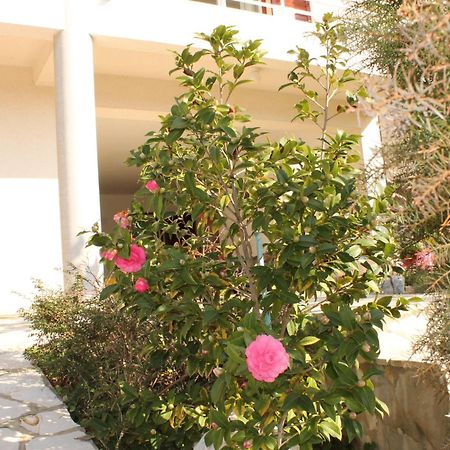 Apartments Vila Marica Rabac Eksteriør bilde