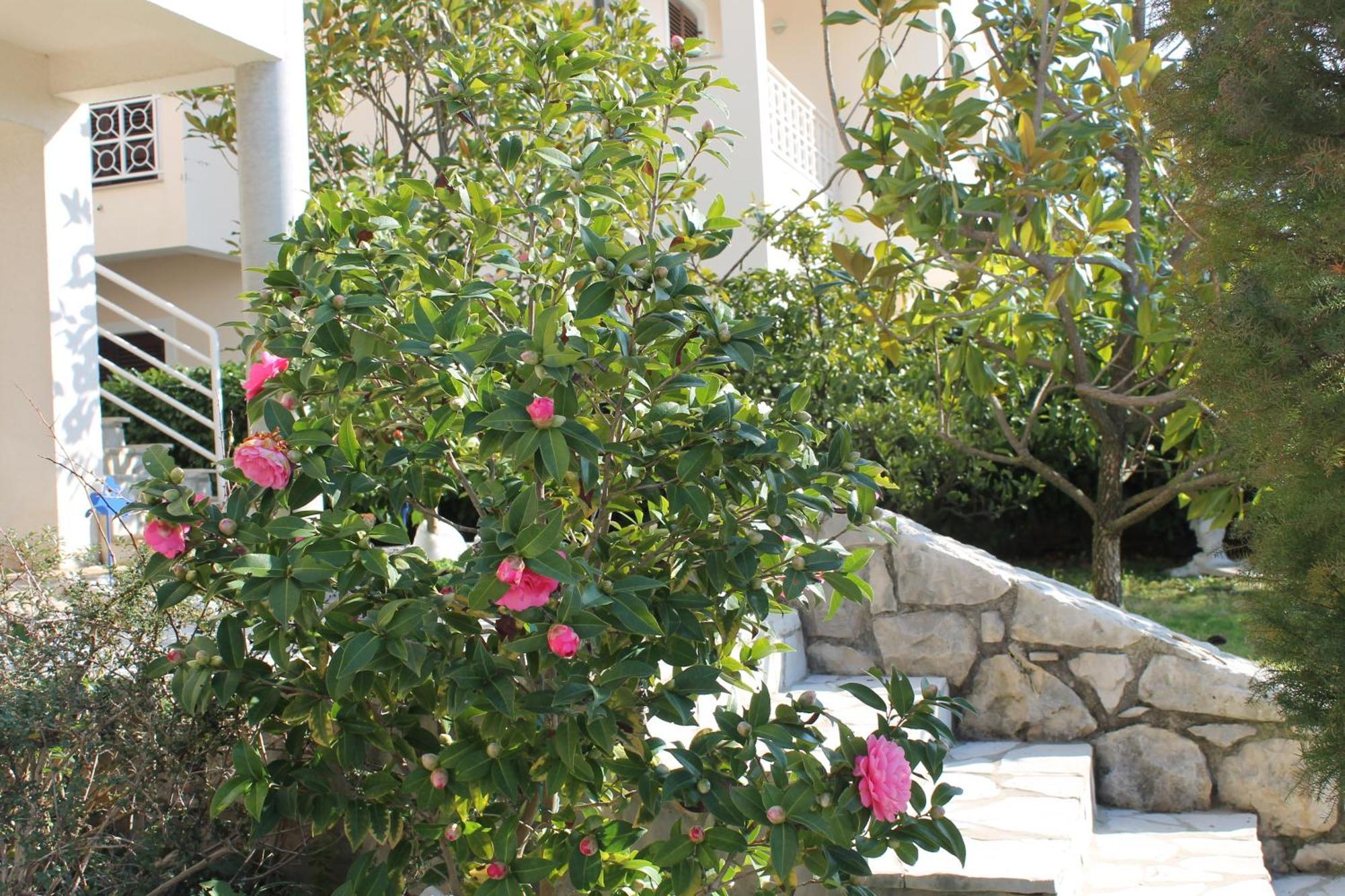 Apartments Vila Marica Rabac Eksteriør bilde