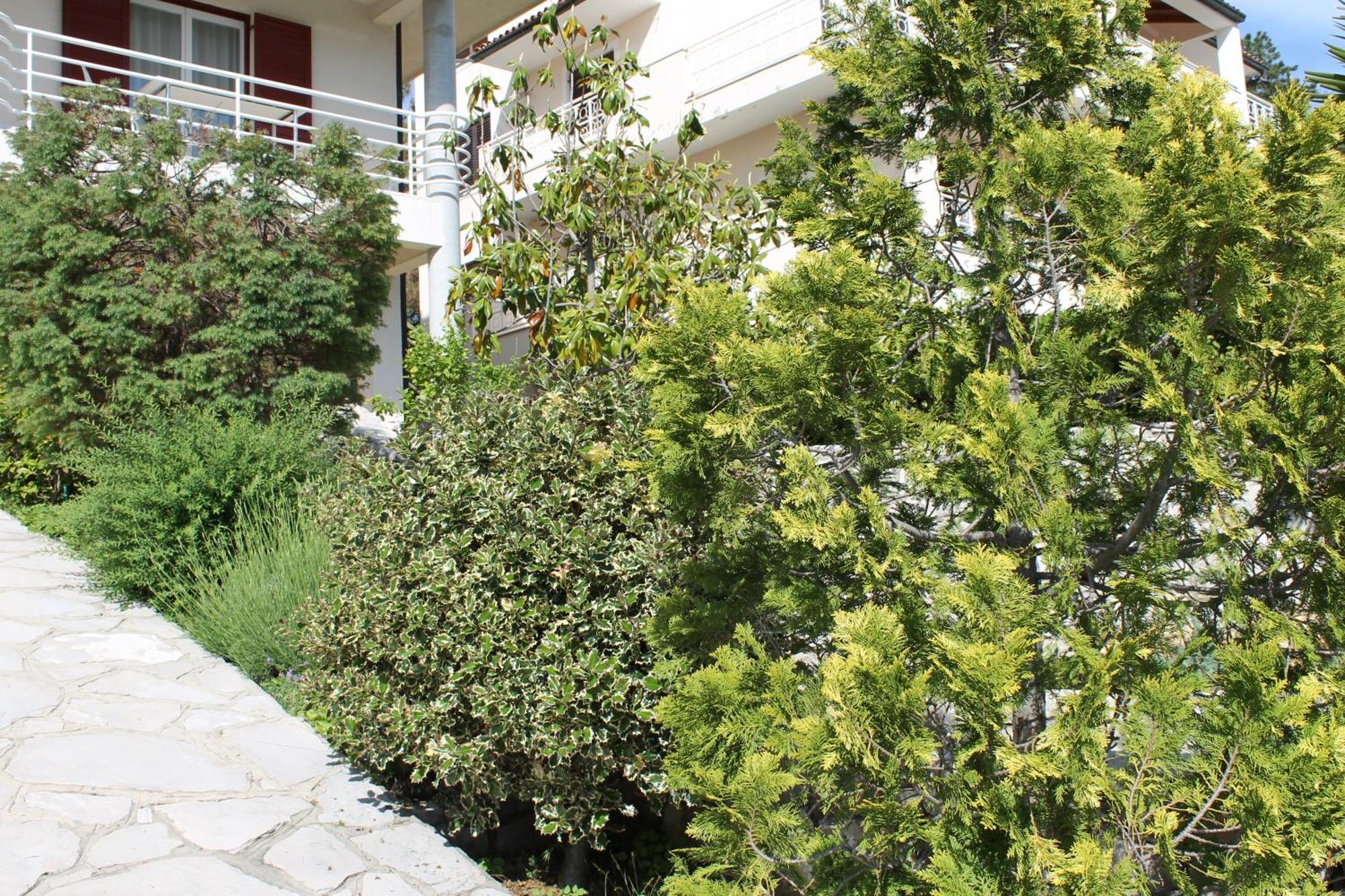 Apartments Vila Marica Rabac Eksteriør bilde