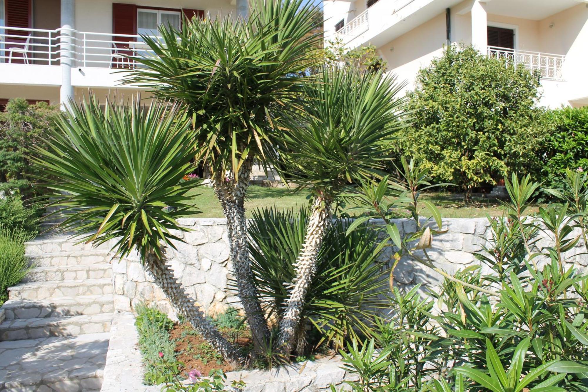Apartments Vila Marica Rabac Eksteriør bilde