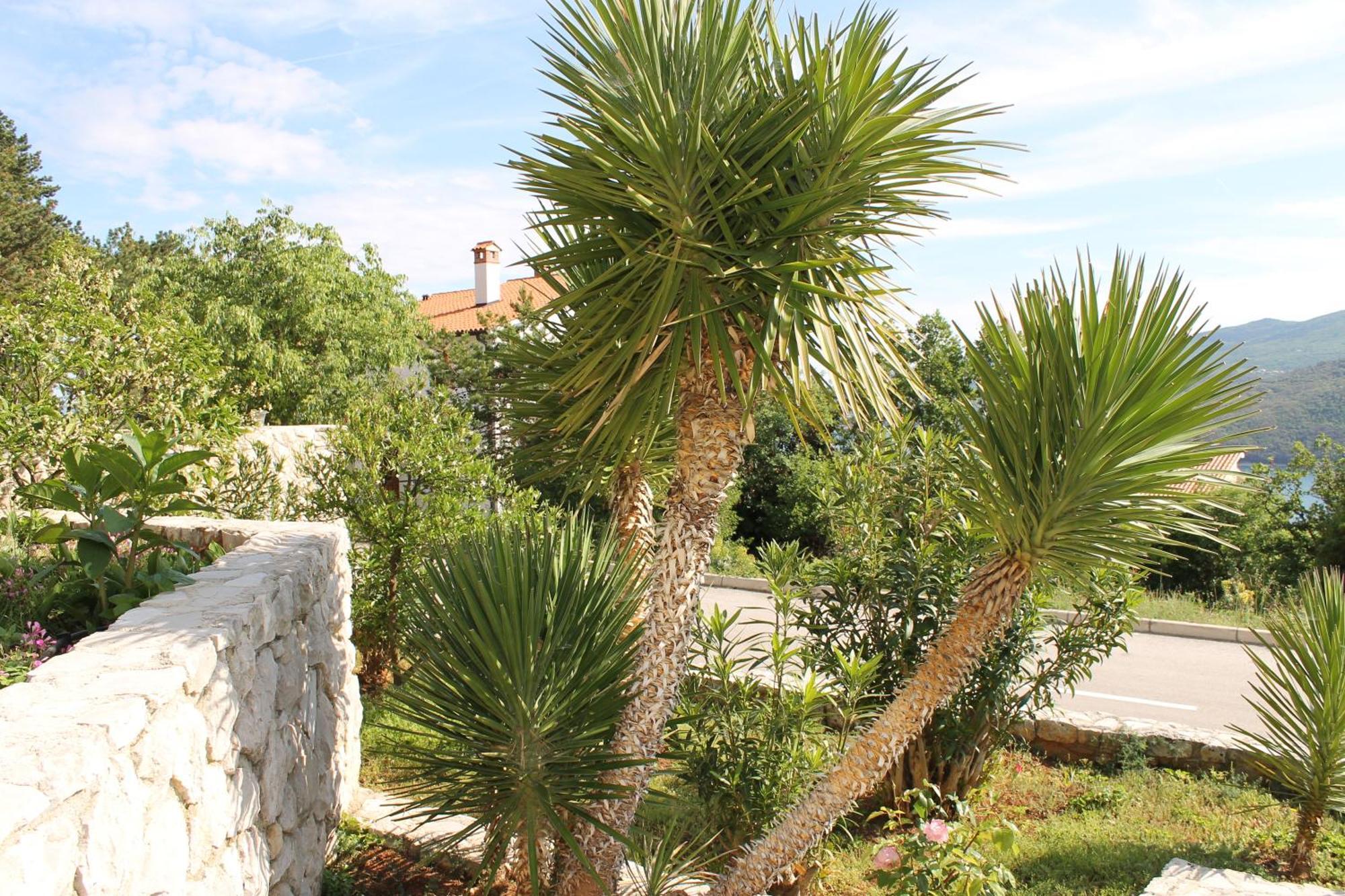 Apartments Vila Marica Rabac Eksteriør bilde
